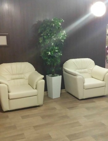 Кресло Премьер в Карасуке - karasuk.mebel54.com | фото