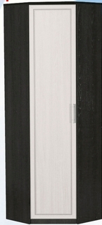 Шкаф для одежды угловой ДЛЯ ГОСТИНОЙ ШОУ-695 Венге/Дуб выбеленный в Карасуке - karasuk.mebel54.com | фото
