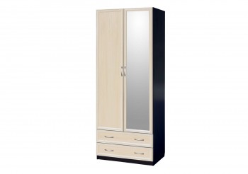 Шкаф для платья и белья 2-х дверный с профилем МДФ с 1 зеркалом Венге/Дуб выбеленный в Карасуке - karasuk.mebel54.com | фото