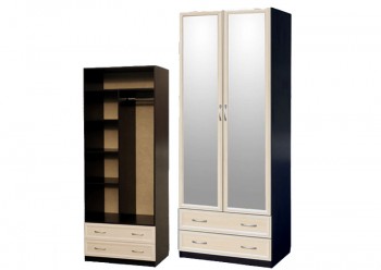Шкаф для платья и белья 2-х дверный с профилем МДФ с 2 зеркалами Венге/Дуб выбеленный в Карасуке - karasuk.mebel54.com | фото